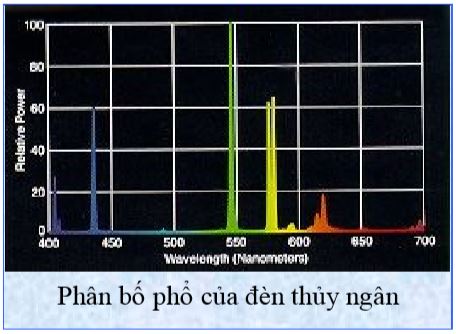 Phân bố của đèn thủy ngân