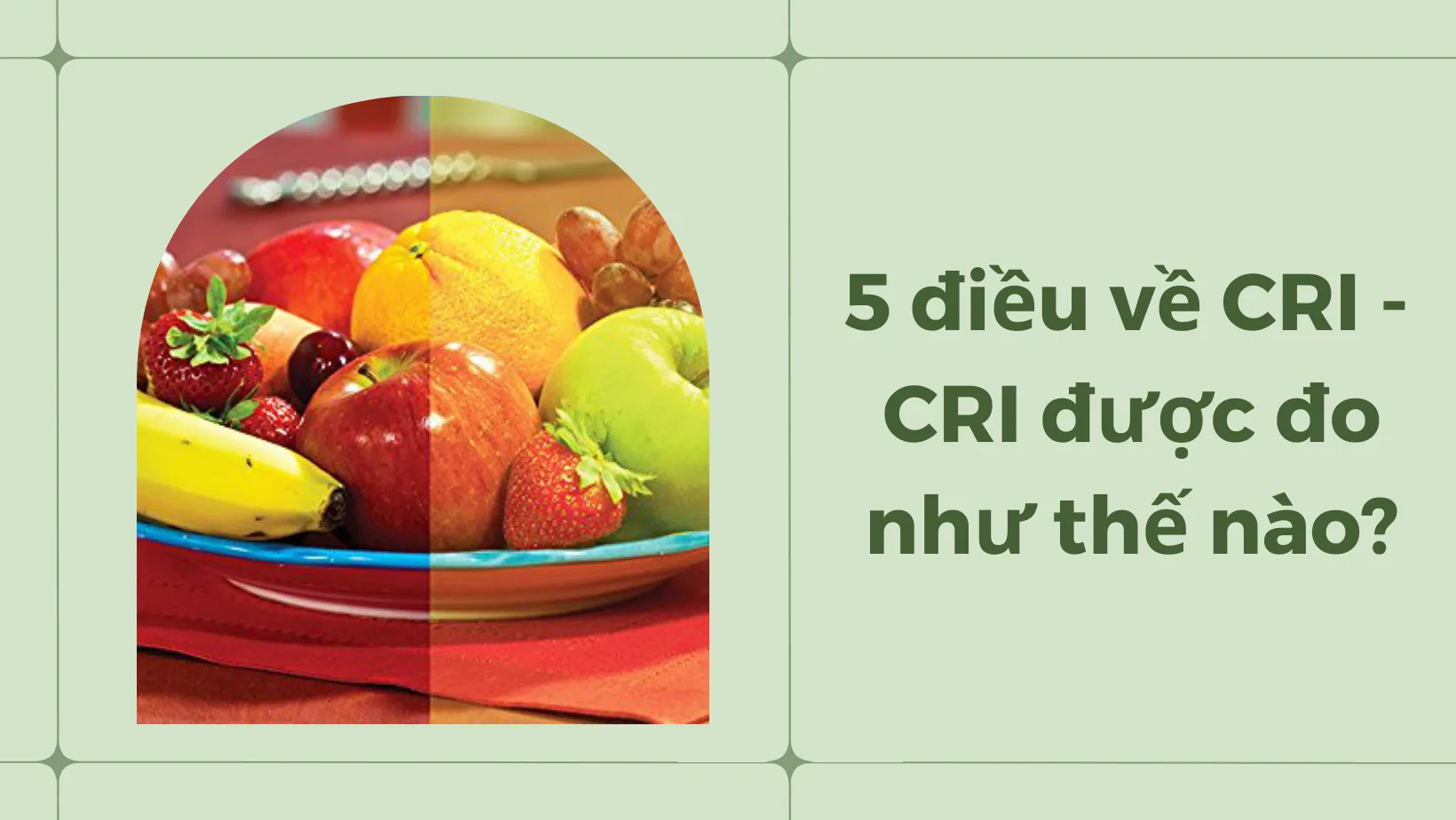 5 điều về CRI – CRI được đo như thế nào?