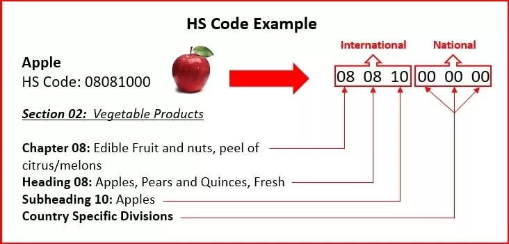 Cấu tạo mã HS Code