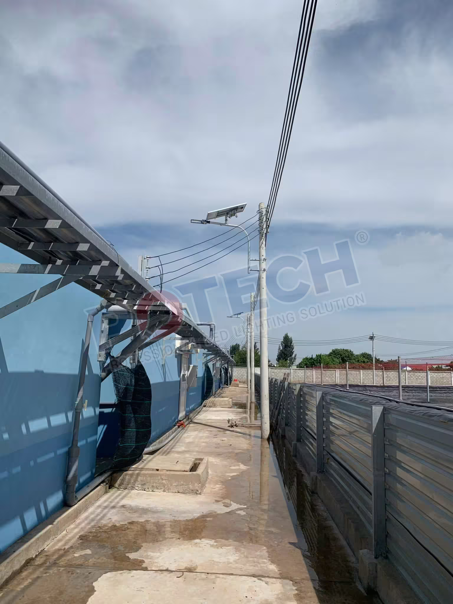 Dự án đèn NLMT Trại Sản xuất Tôm giống Bạc Liêu của Cty C.P Việt Nam — ảnh 3