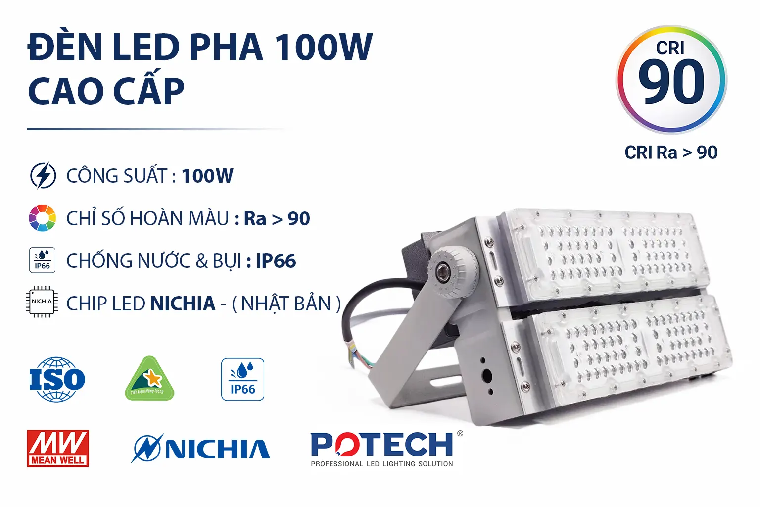 Đèn pha PT-FL3-100